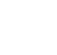 Real estate investment icon